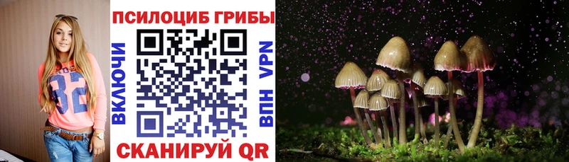 Псилоцибиновые грибы Psilocybine cubensis  наркотики  Шатура 