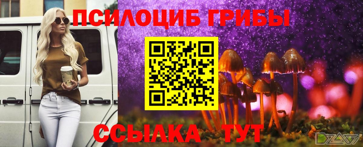 Галлюциногенные грибы MAGIC MUSHROOMS  Шатура  Галлюциногенные грибы Magic Shrooms 