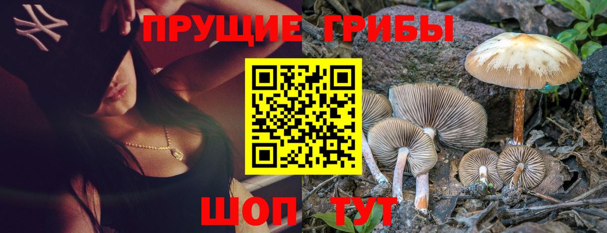 Шатура  Галлюциногенные грибы мицелий  Вход с VPN 